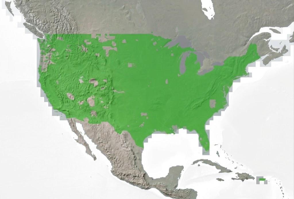 Relief LIDAR — United States
